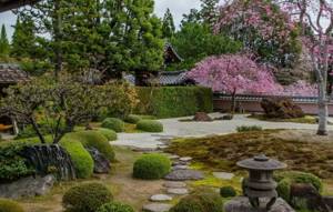 сад в японском стиле